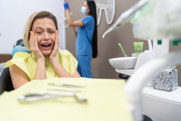 Best Emergency Dental Care for Broken or Chipped Teeth in Bellerose Terrace, NY